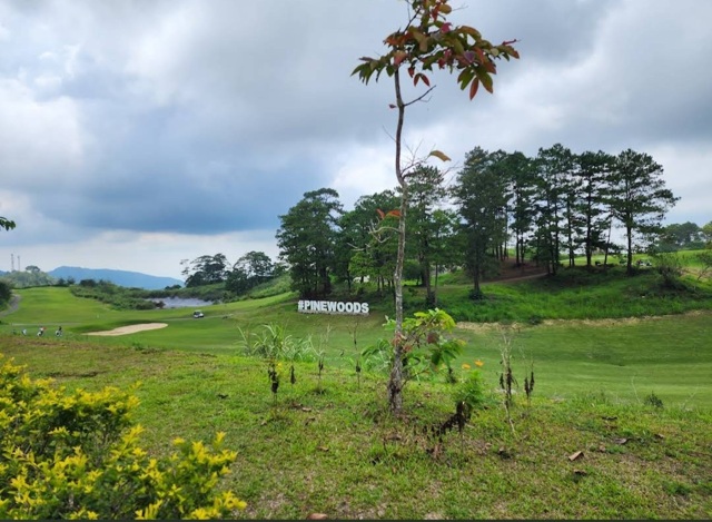 Asin Road, Baguio, Lot For Sale