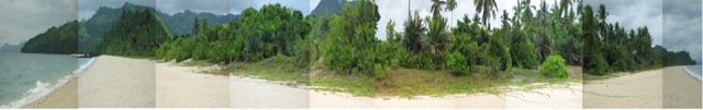 Alimanguan, San Vicente, Lot For Sale