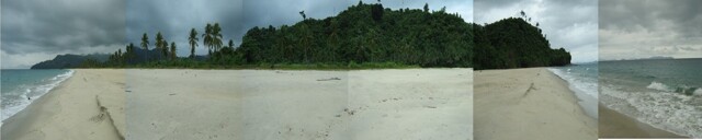 Alimanguan, San Vicente, Lot For Sale