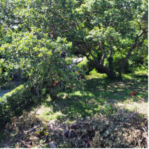 Sabang, Morong, Lot For Sale