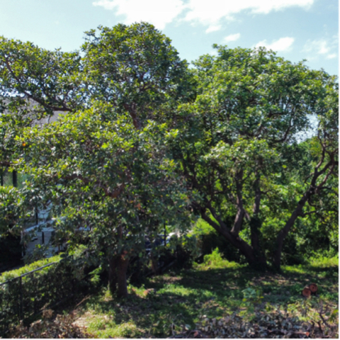 Sabang, Morong, Lot For Sale