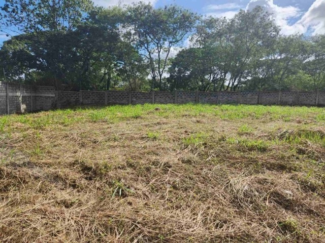 Alabang, Muntinlupa, Lot For Sale