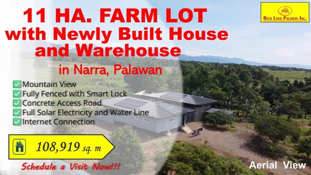 Sandoval, Narra, Lot For Sale