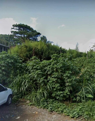 Asin Road, Baguio, Lot For Sale