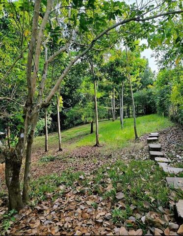 Santa Monica, Puerto Princesa, Lot For Sale