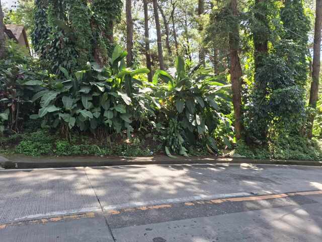Camp 7, Camp,baguio, Lot For Sale