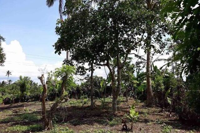 Inocencio, Trece Martires, Lot For Sale