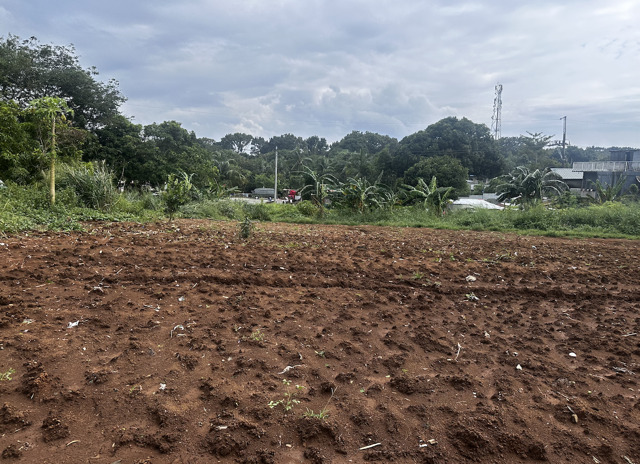 Sampaloc, Tanay, Lot For Sale