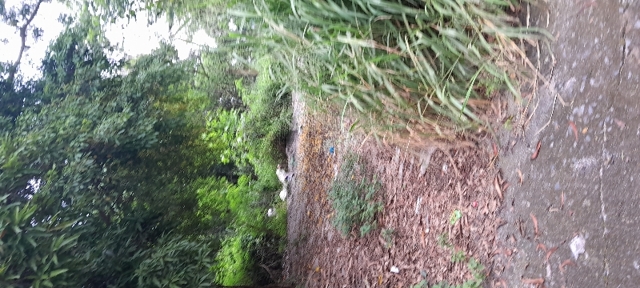 Bilibiran, Binangonan, Lot For Sale