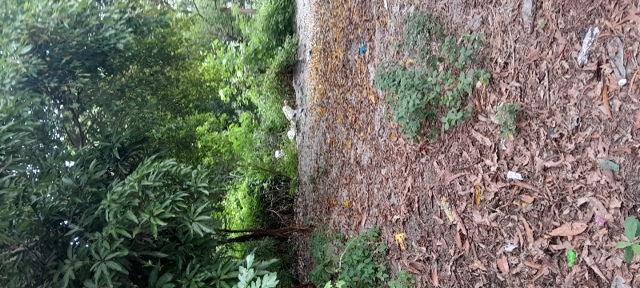 Bilibiran, Binangonan, Lot For Sale