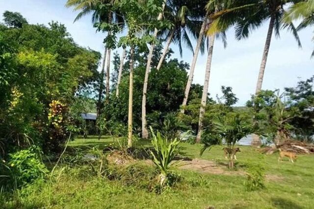 Aporawan, Aborlan, Lot For Sale