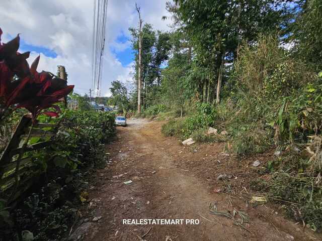 Dps Area, Baguio, Lot For Sale