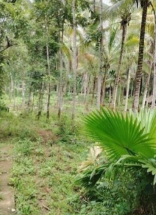 Limao, Calauan, Lot For Sale