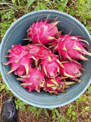 Macabud, Rodriguez, Lot For Sale