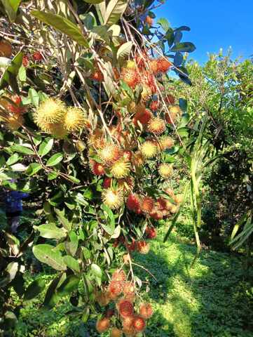 Macabud, Rodriguez, Lot For Sale