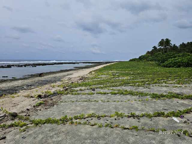 Caridad, Pilar, Lot For Sale Caridad, Pilar, Lot For Sale