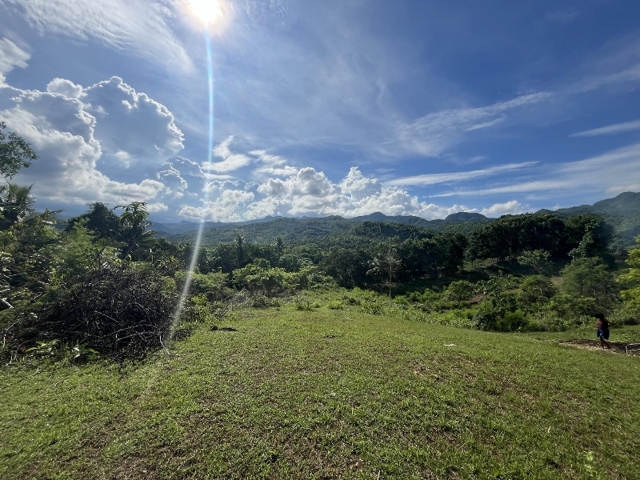 Santa Rosa, Danao, Lot For Sale