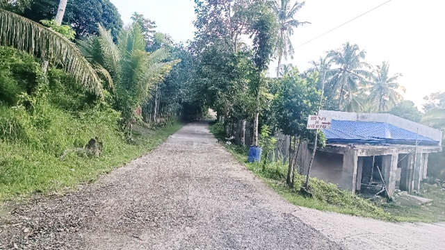 Mantija, Danao, Lot For Sale