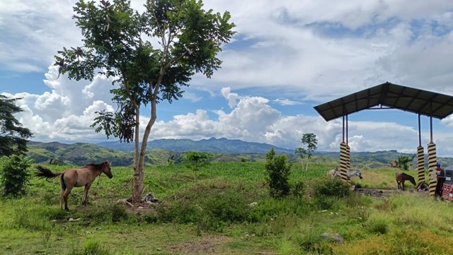 Salaysay, Davao, Lot For Sale Salaysay, Davao, Lot For Sale