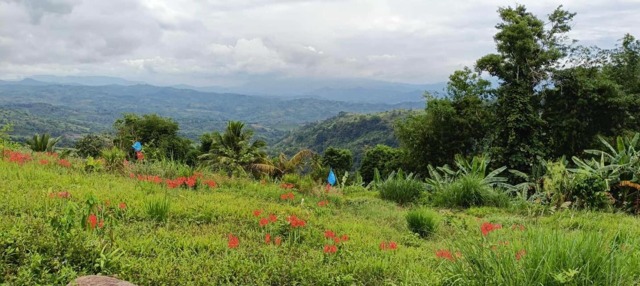 Salaysay, Davao, Lot For Sale