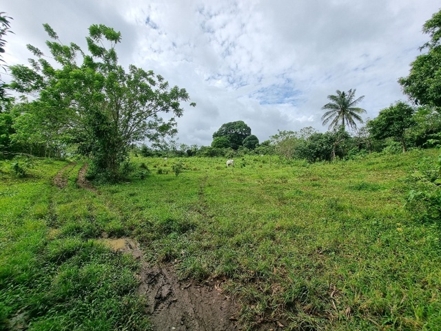 Minantok Silangan, Amadeo, Lot For Sale