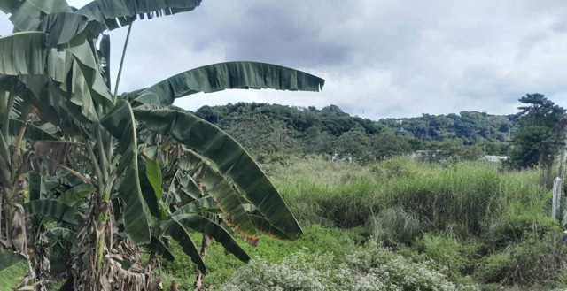 San Roque, Antipolo, Lot For Sale