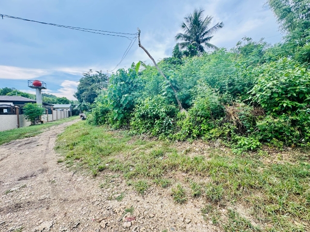 Cogon, Compostela, Lot For Sale