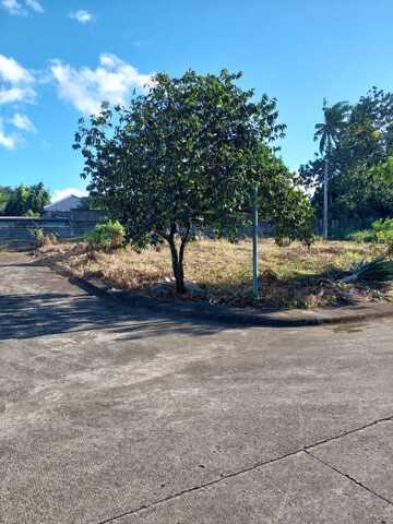Punta, Calamba, Lot For Sale