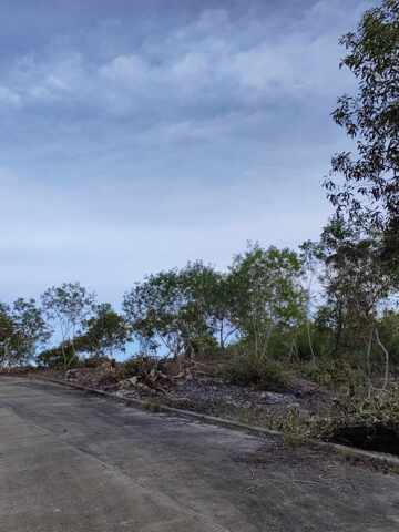 Biking, Dauis, Lot For Sale