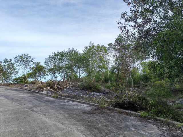 Biking, Dauis, Lot For Sale