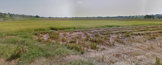 Pabanlag, Floridablanca, Lot For Sale