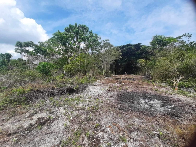 Tangnan, Panglao, Lot For Sale