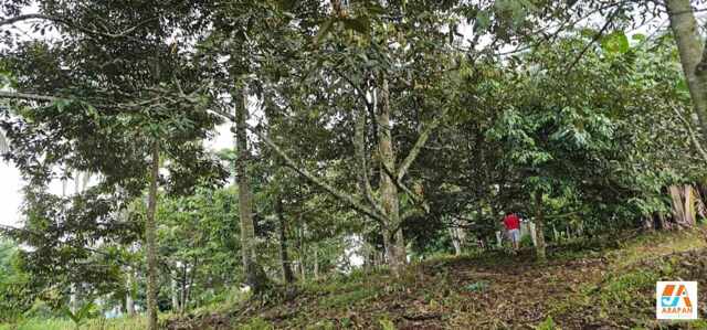 Baracatan, Davao, Lot For Sale