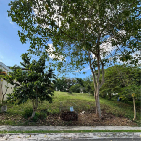 Carmen, Silang, Lot For Sale