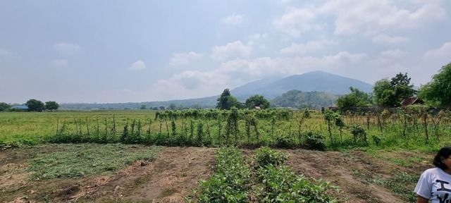 Baliti, Arayat, Lot For Sale
