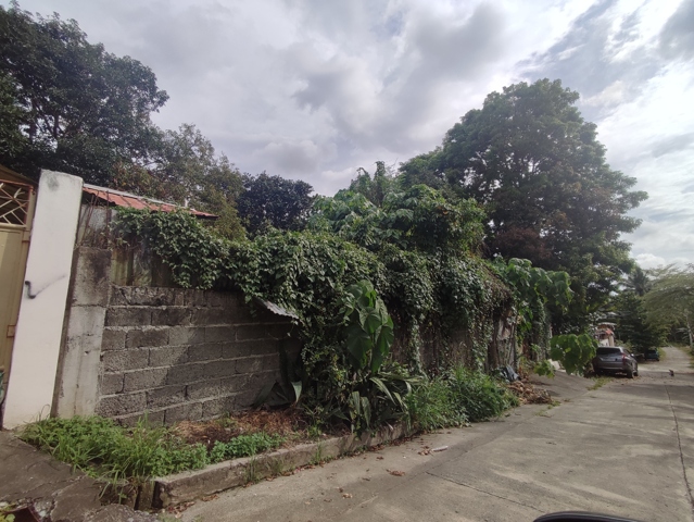 Buhangin, Davao, Lot For Sale