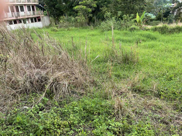 Iruhin West, Tagaytay, Lot For Sale