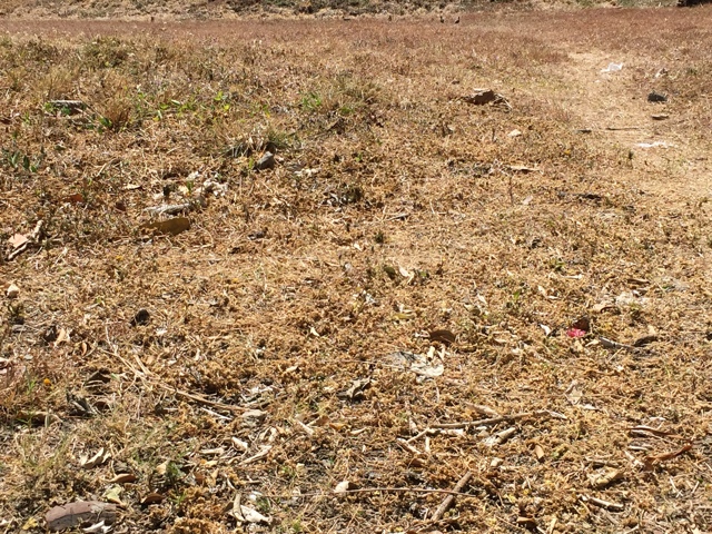 Cupang, Muntinlupa, Lot For Sale