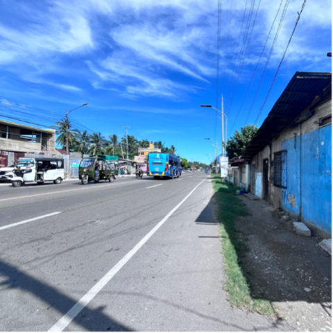 Looc, Danao, Lot For Sale