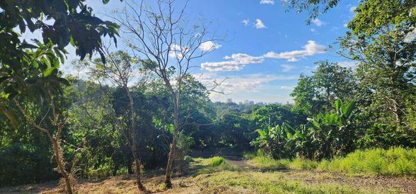 Dela Paz, Antipolo, Lot For Sale