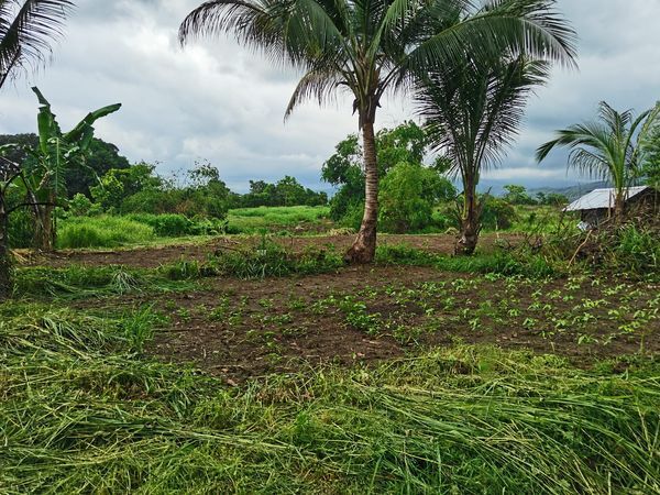 San Agustin, Lot For Sale