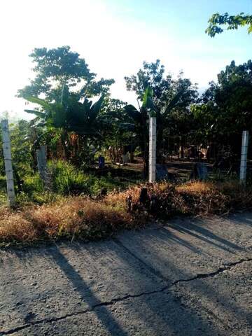 Anupul, Bamban, Lot For Sale Anupul, Bamban, Lot For Sale