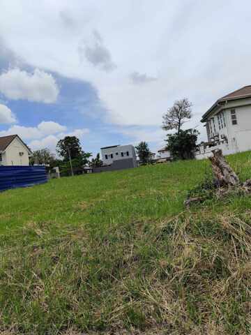 Calibutbut, Bacolor, Lot For Sale