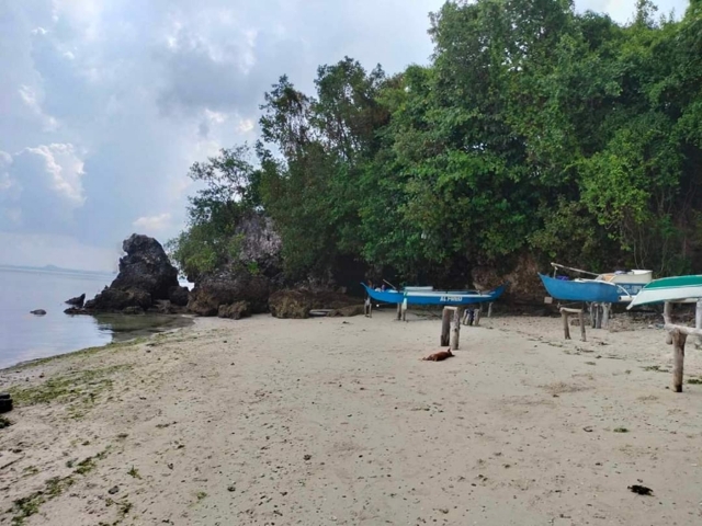 Bingag, Dauis, Lot For Sale